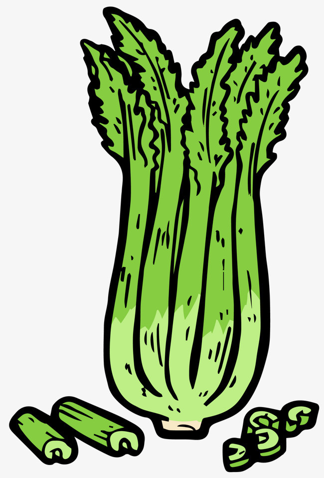 手绘卡通矢量绿色芹菜