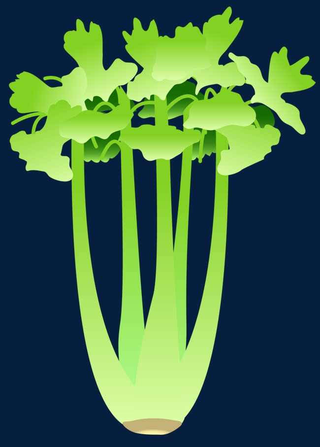 图片 装饰元素 > 【png】 细长的国产矢量芹菜