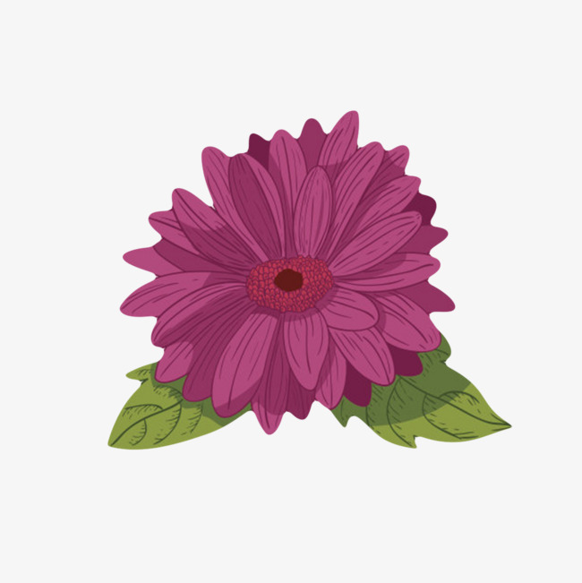 红色草本植物琉璃苣卡通