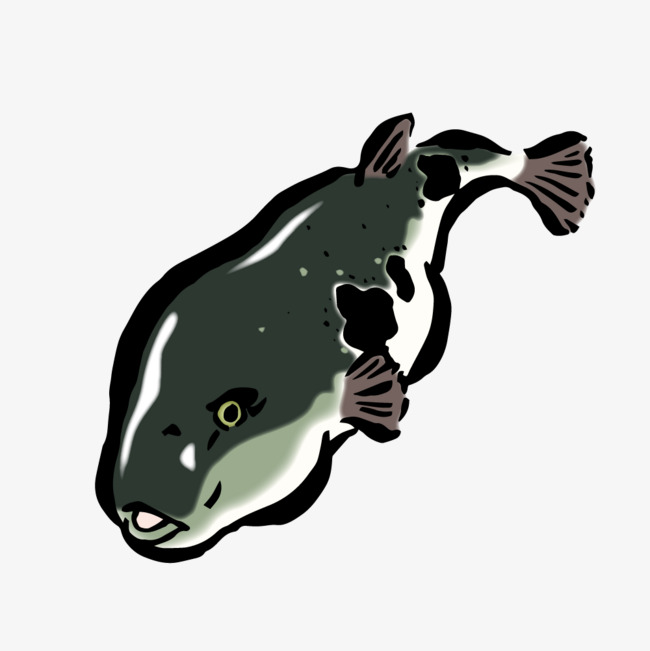 水彩墨鱼手绘简图