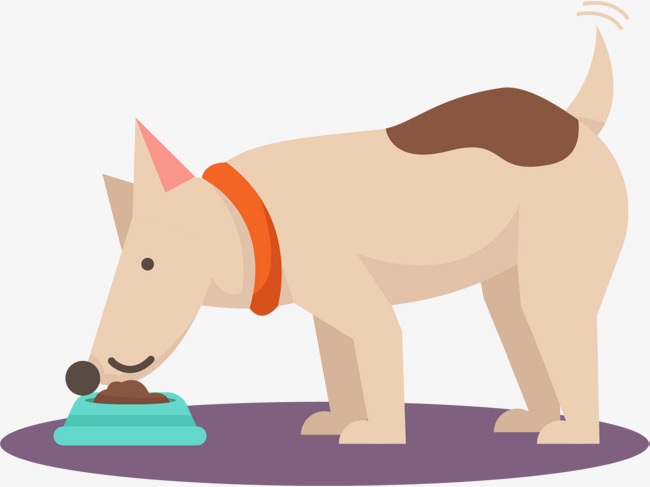 正在吃饭的黄色小狗