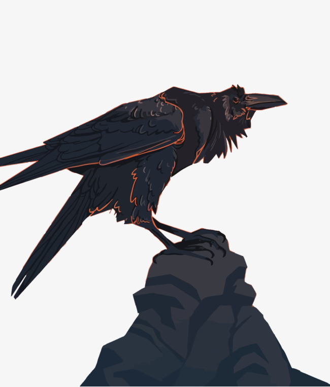 矢量卡通鸟类乌鸦