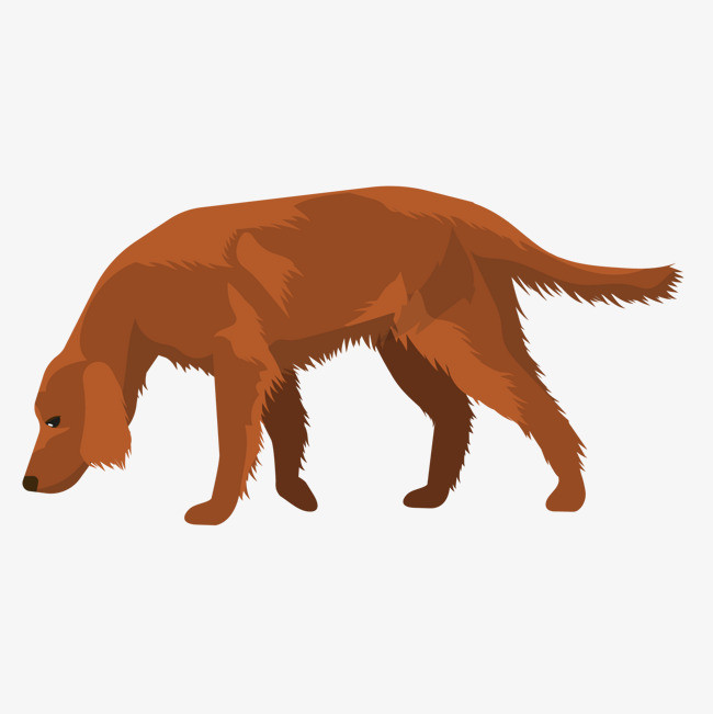 卡通手绘动物可爱小狗哈士奇狗狗