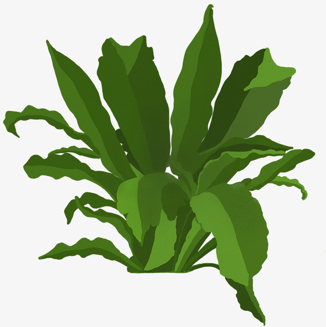 卡通仙人掌绿植盆栽png图片