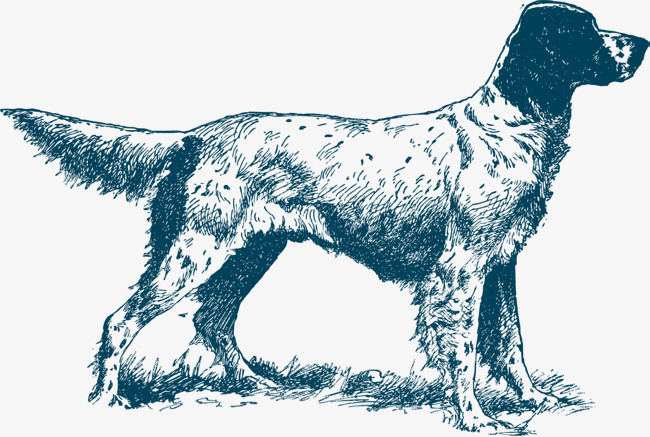 狗年蓝色水彩小狗