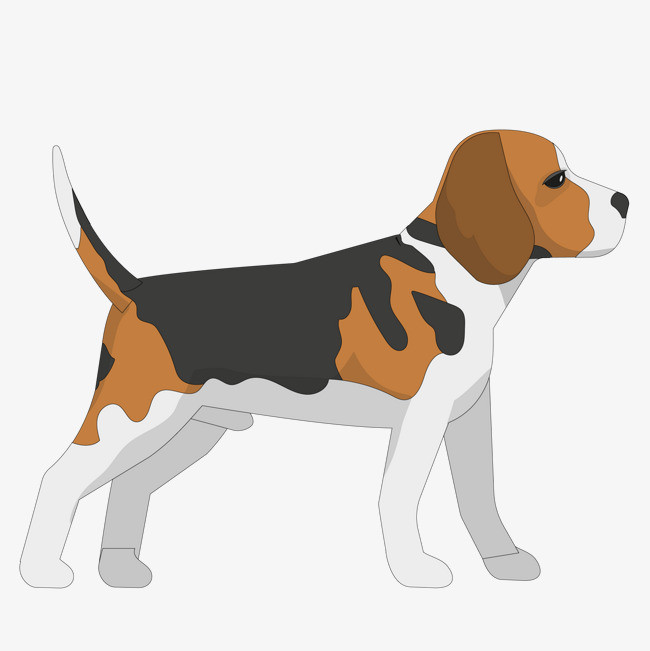 卡通手绘动物可爱小狗哈士奇狗狗