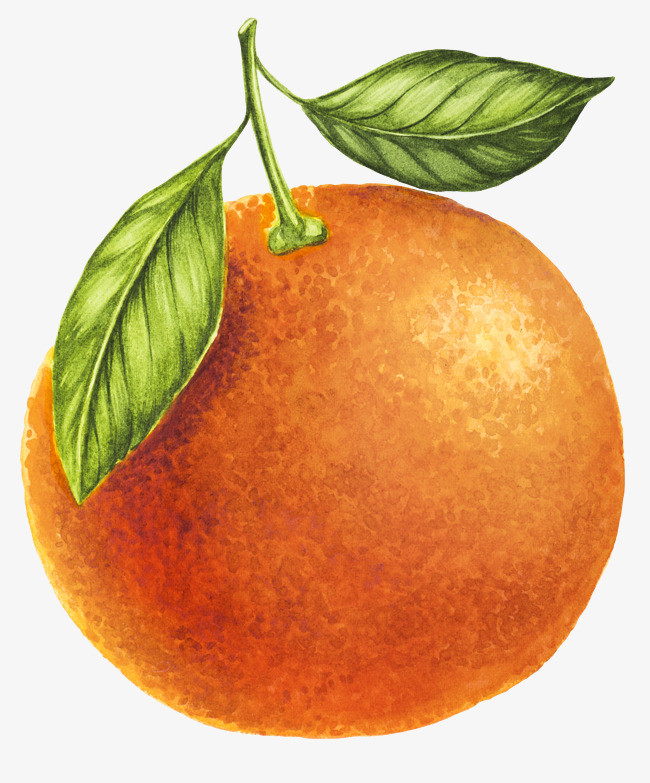 卡通手绘水果装饰海报设计橙子