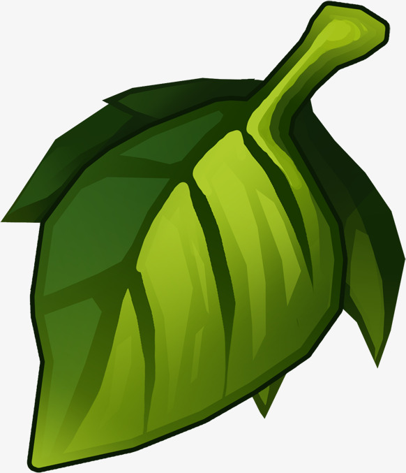 手绘卡通小清新热带绿色植物叶子元素设计