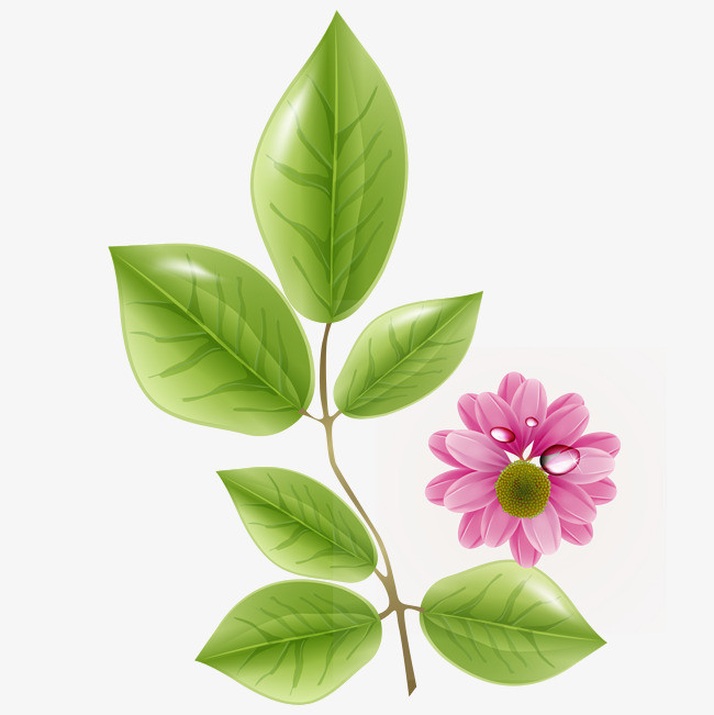 卡通绿色叶子粉色的花朵