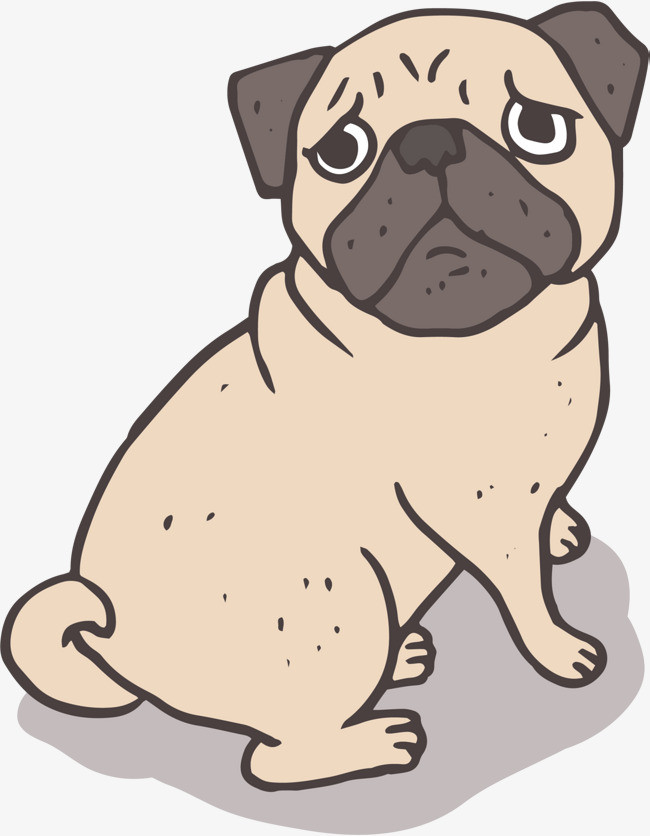 狗年蹲着的黄色小狗