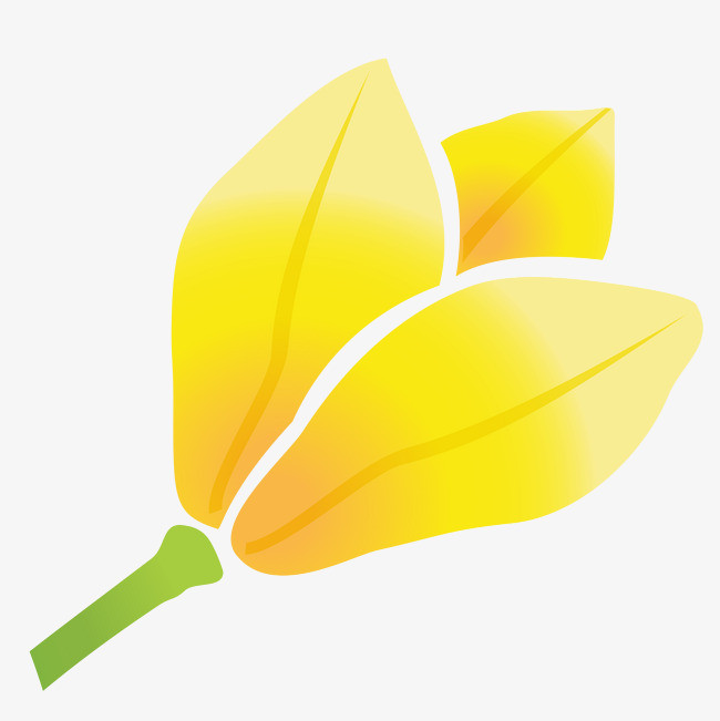 卡通一朵精美的小黄花