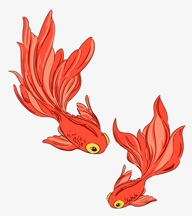 手绘金鱼装饰插画