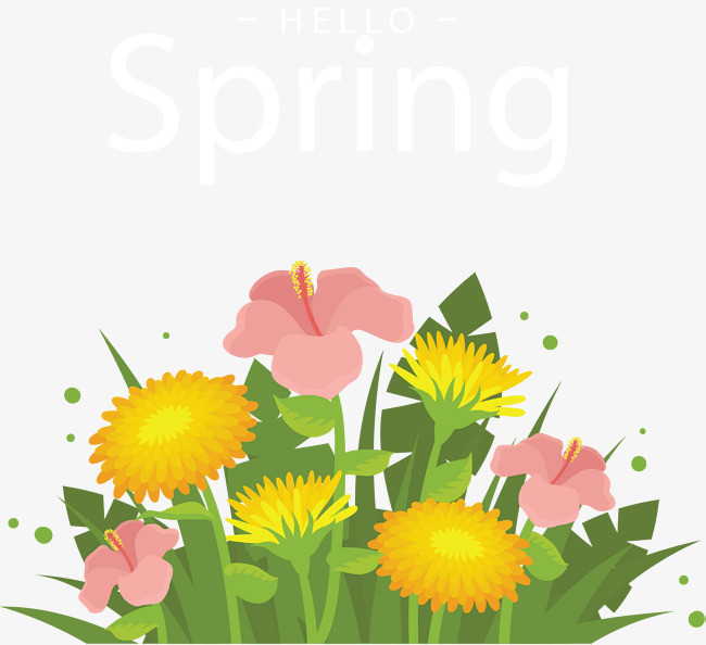 美丽彩色花丛春天