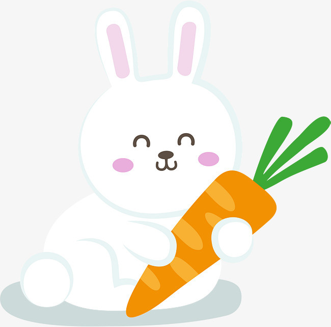 抱着胡萝卜的小白兔