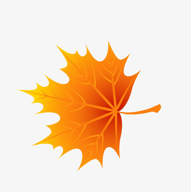 矢量图手绘红色枫叶装饰框