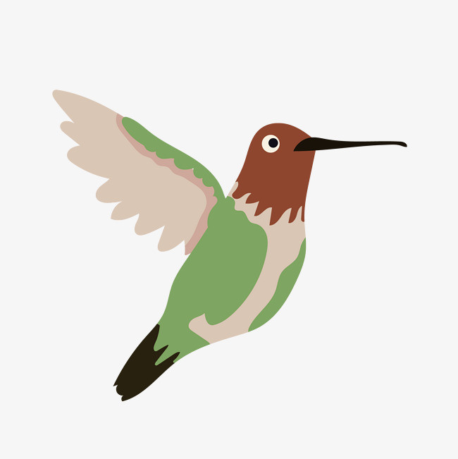 小清新设计可爱蜂鸟