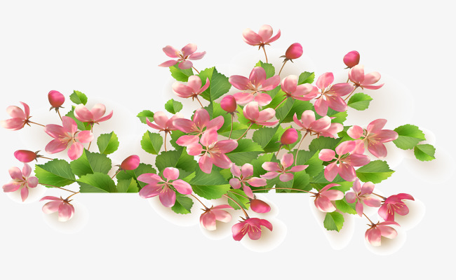 精美杏花背景矢量素材