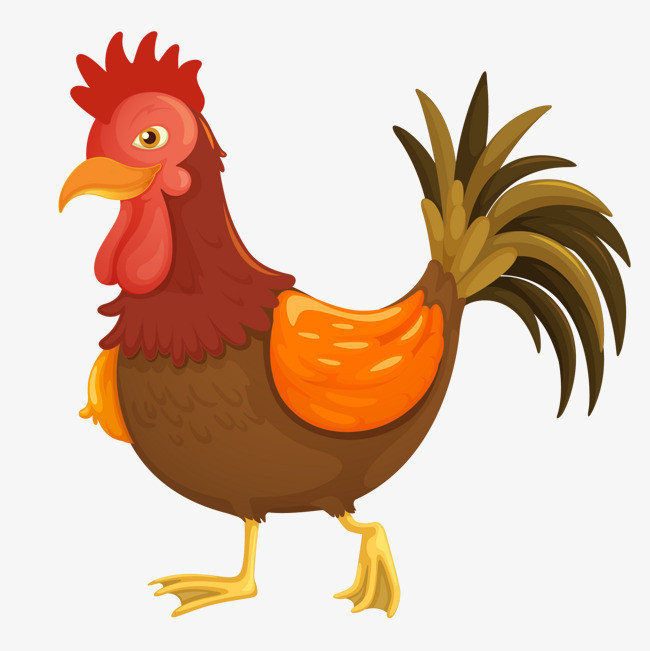 卡通可爱的动物公鸡设计