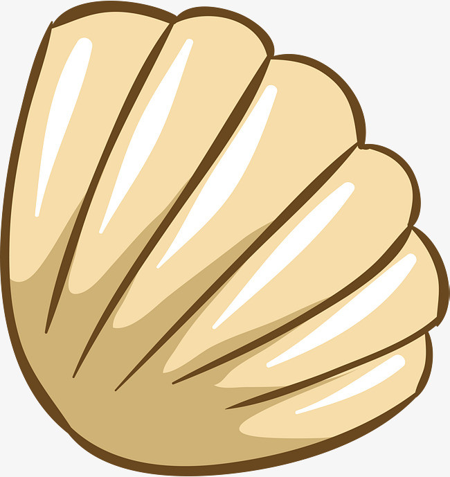 卡通精美贝壳设计