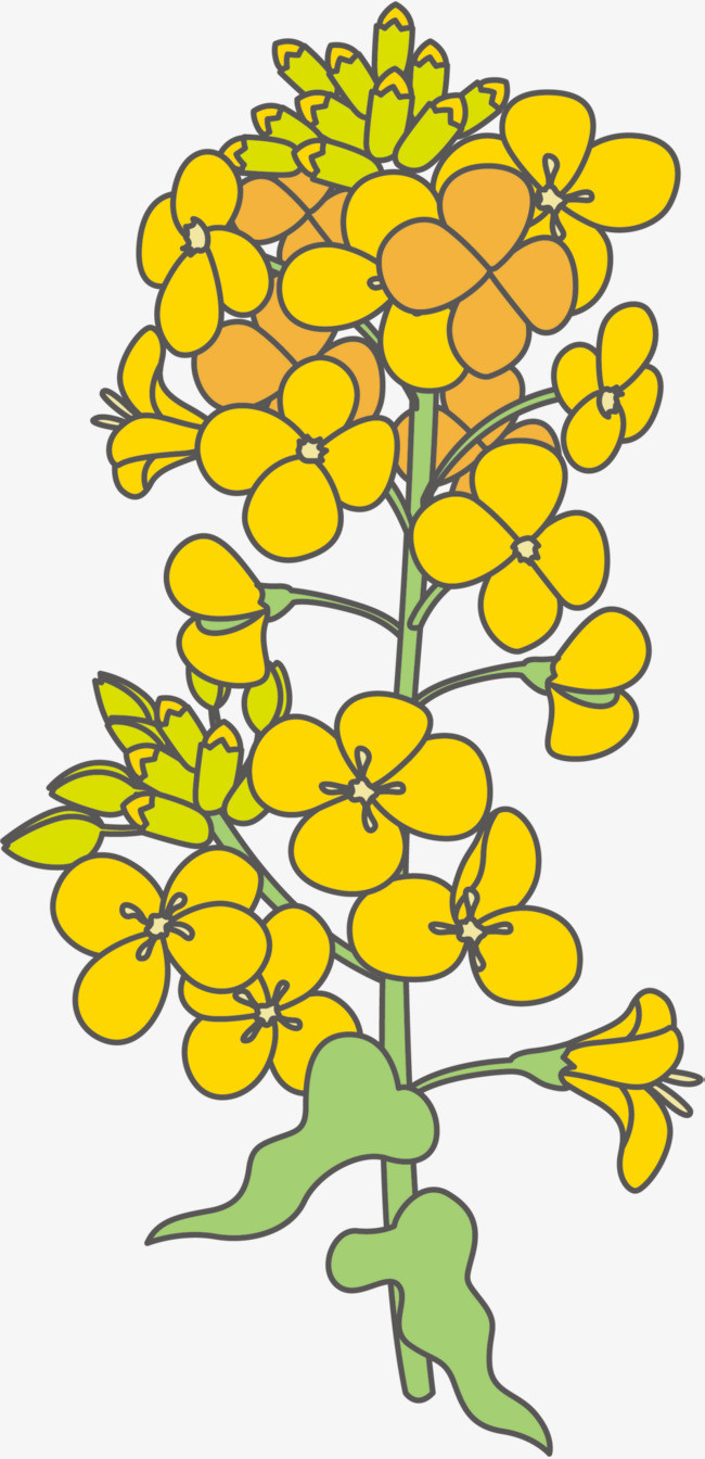 黄色油菜花枝叶装饰用小元素免扣