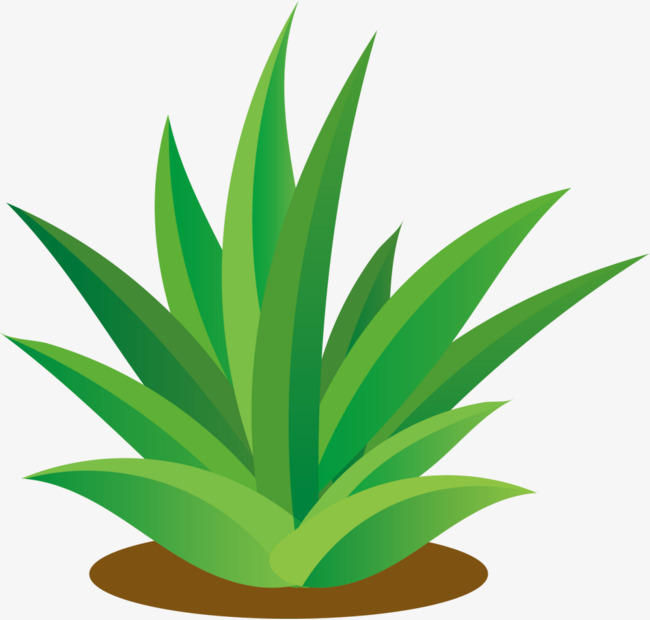 春天春季绿色小草树木免抠png