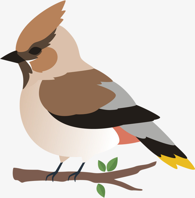 卡通可爱的小鸟矢量图装饰插画素材