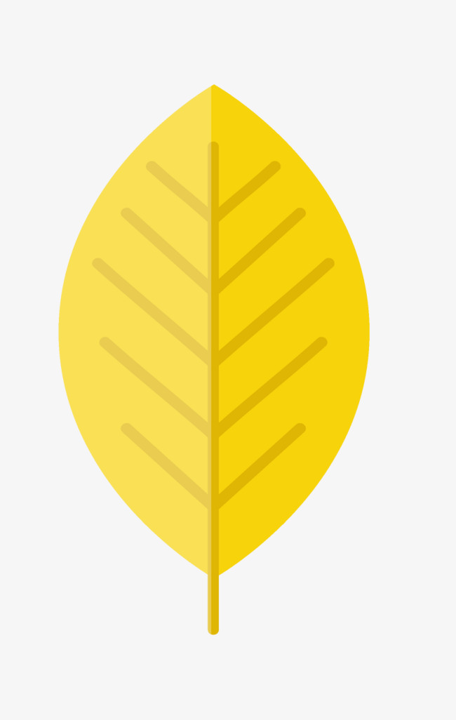 卡通手绘黄色的树叶