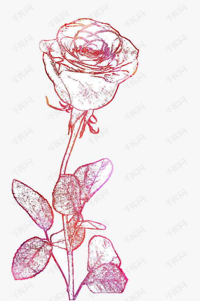 手绘卡通铅笔画玫瑰花线稿素材