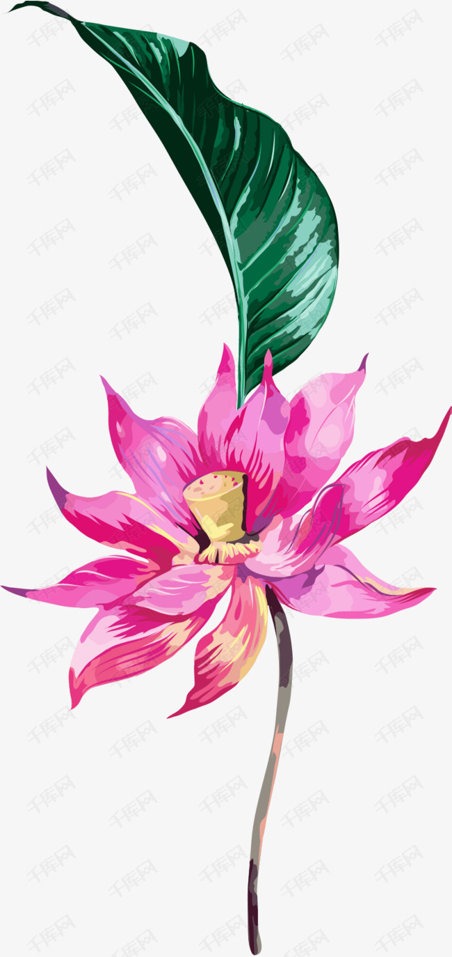 水彩合成效果树叶花朵素材图片免费下载_高清png_千库网(图片编号