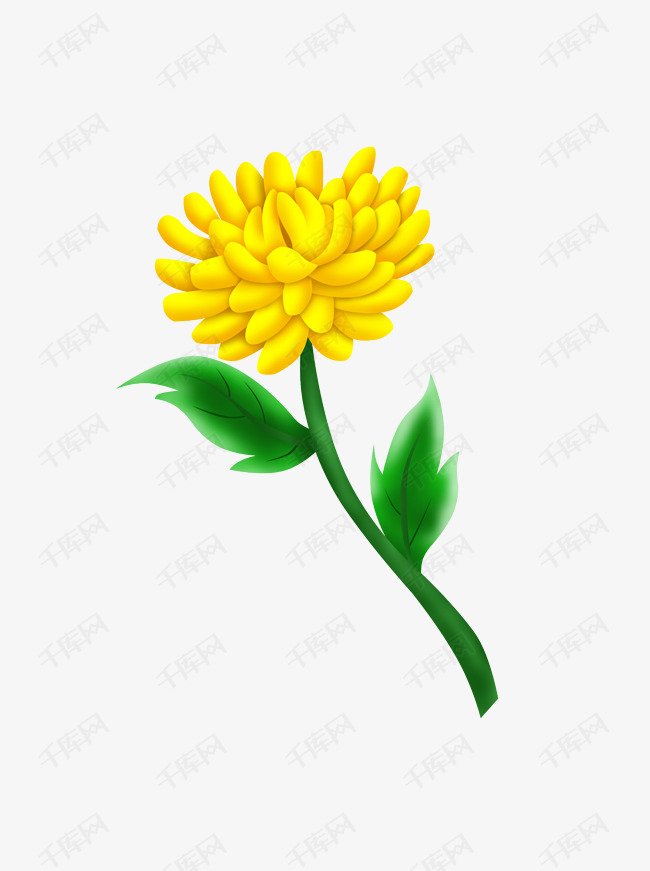 手绘一支万寿菊植物可商用元素