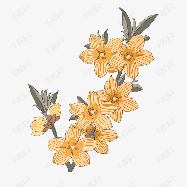 中国风手绘花卉插图素材图片免费下载_高清psd_千库网(图片编号