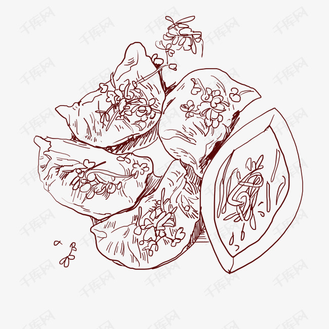 线描美食饺子插画