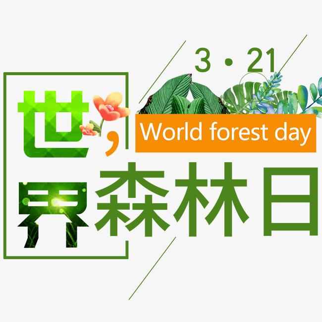 世界森林日标题