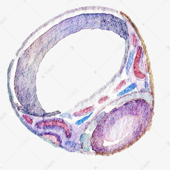手绘古风宝石戒指插画