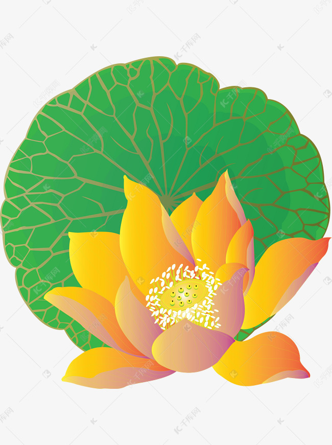 更多手绘花元素荷花莲叶可商用元素设计图片快来千库吧