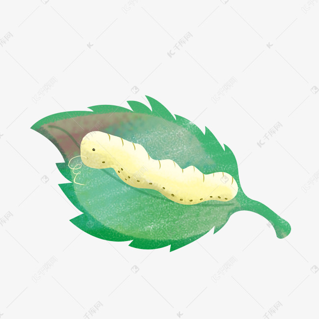 手绘叶子桑叶蚕虫卡通蚕吐丝