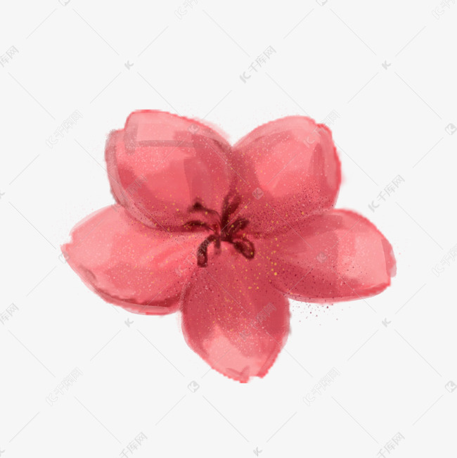 手绘樱花花朵插画