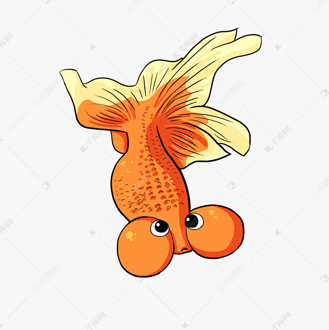 美丽鱼类可爱卡通金鱼水泡眼金鱼