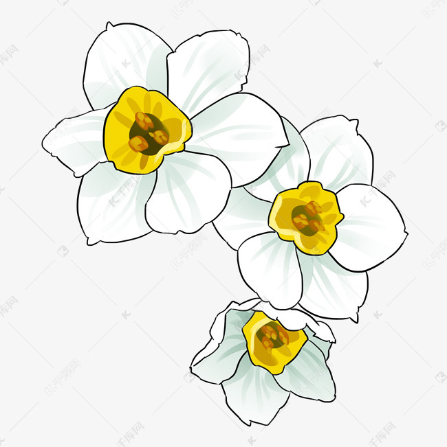 手绘清新水仙花花朵插画素材图片免费下载 高清卡通手绘psd 千库网 图片编号