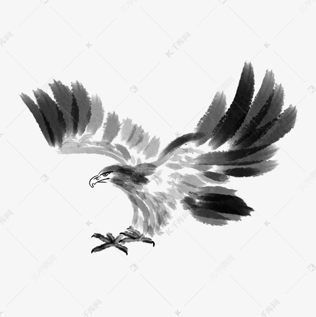 手绘灰色的老鹰插画