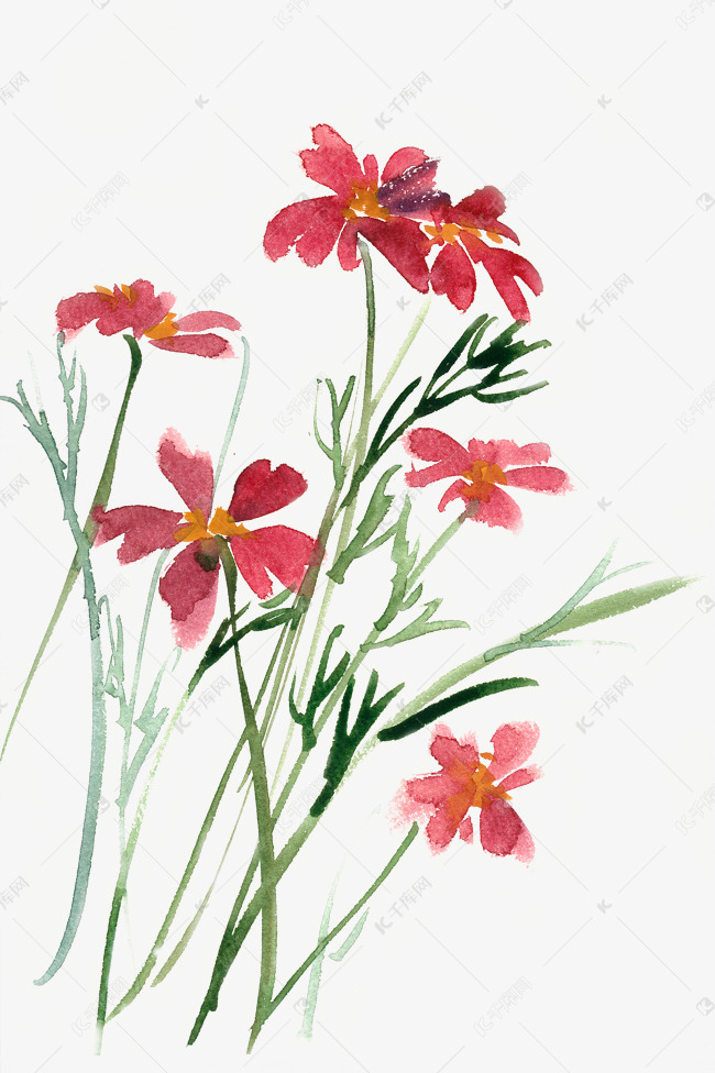 红色的小花水彩画png免抠素材