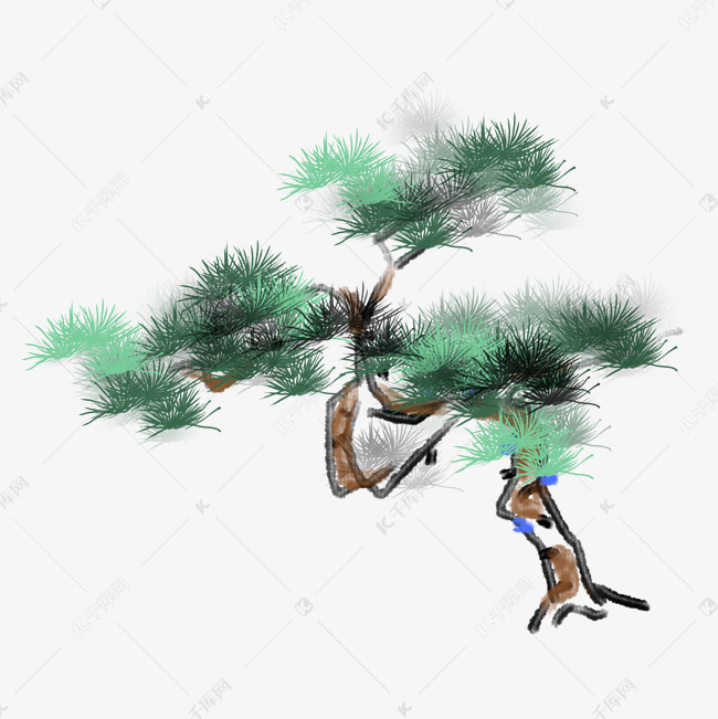 漂亮的松树手绘插画