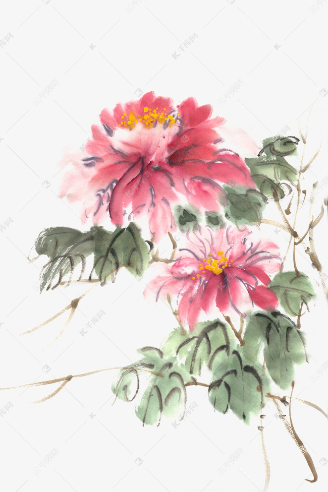鲜艳的牡丹花水墨画png免抠素材图片免费下载 千库网