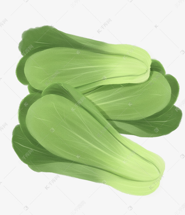 蔬菜上海青