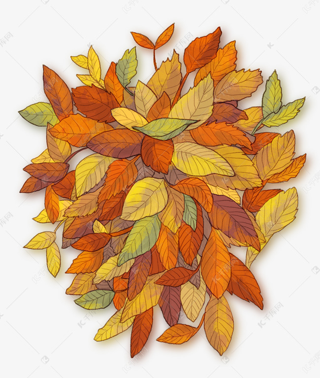 中秋节重阳节落叶成堆手绘