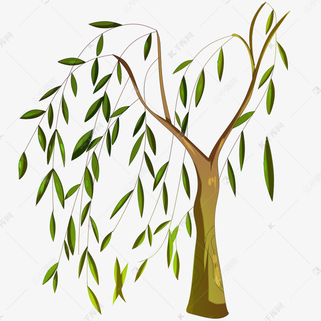 卡通柳树手绘插画