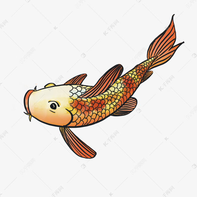 黄色鲤鱼手绘插画