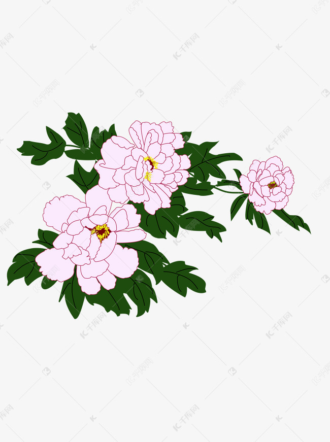 手绘牡丹花花丛浪漫植物花卉花朵