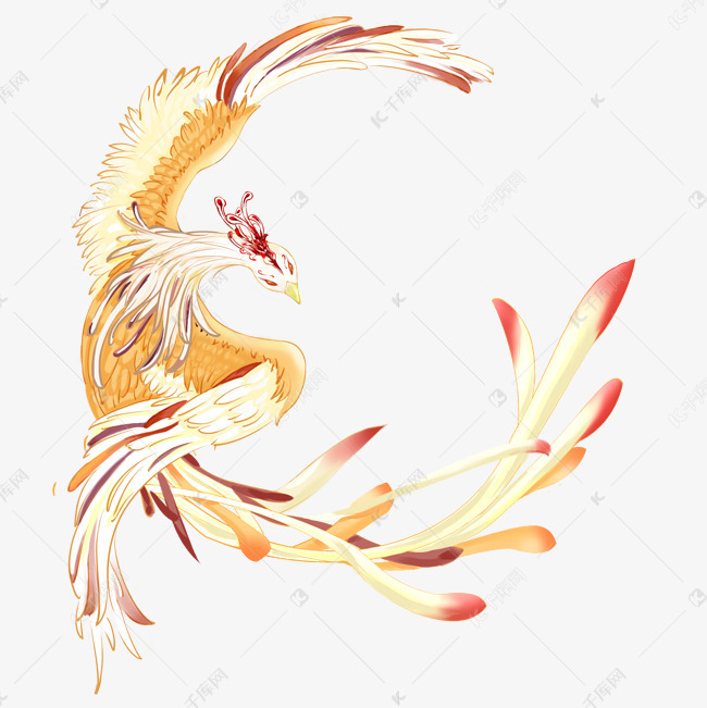 手绘凤凰插画素材