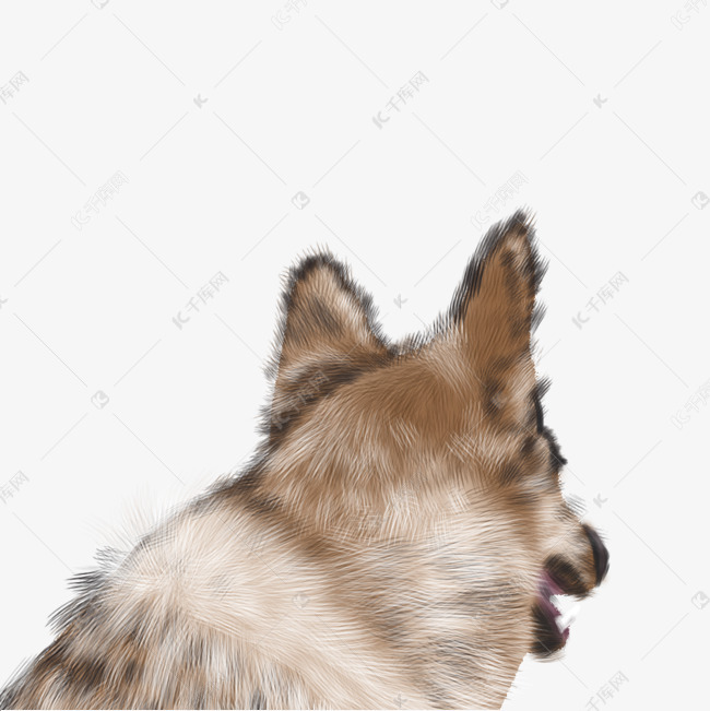 动物狼背影头部手绘插画psd